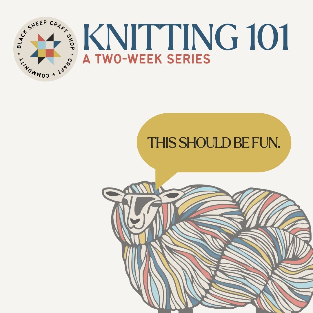 Knitting 101 Class - 2-week series