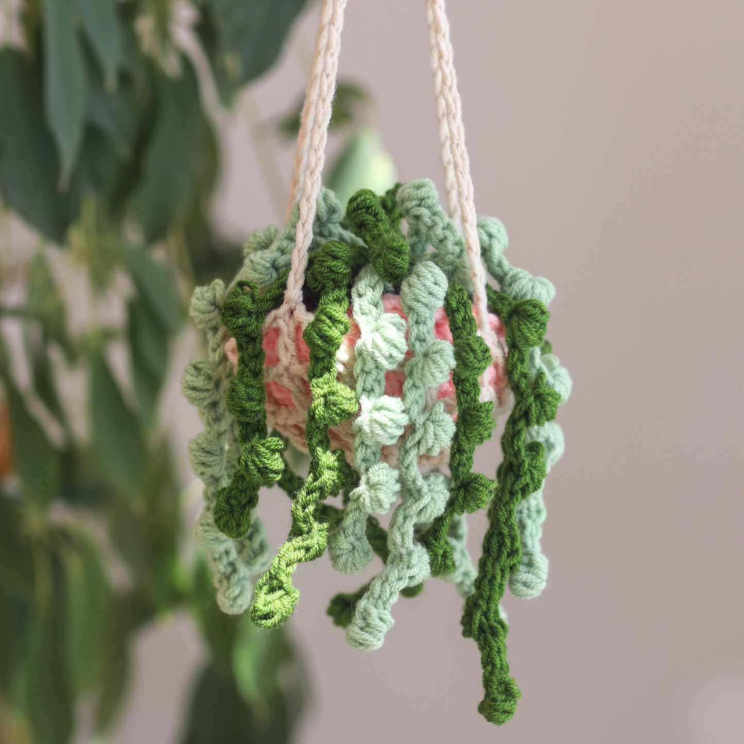 Amigurumi Hanging Plant Crochet Kit