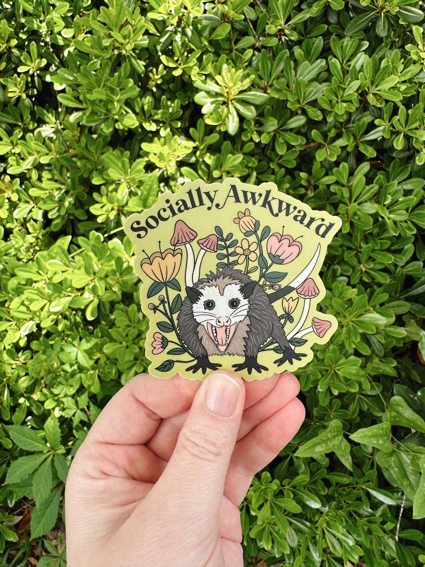 Awkward Possum Sticker, Opossum Sticker
