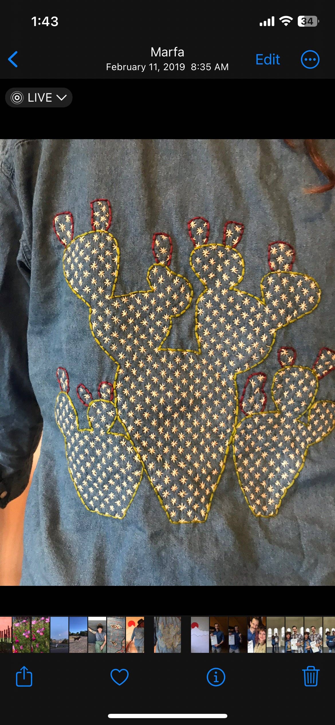 Sashiko Prickly Pear Mending Stick and Stitch Pattern