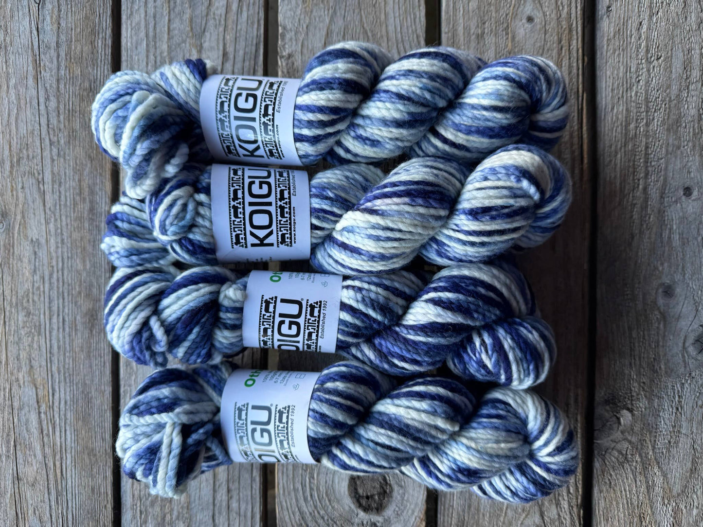 Koigu Othello Yarn