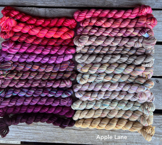 KOIGU PPPM Merino Mini-skeins