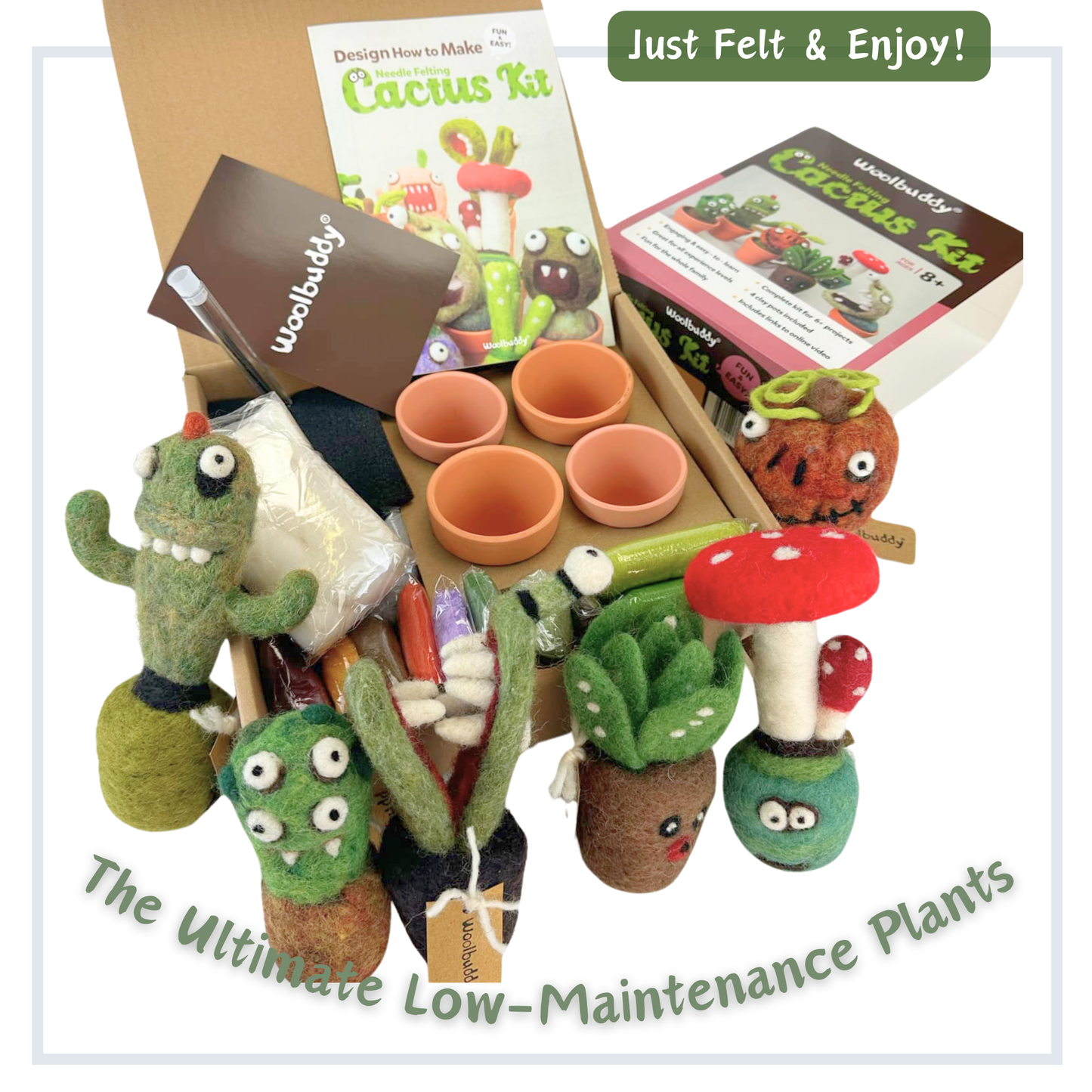 Needle Felting Cactus Kit