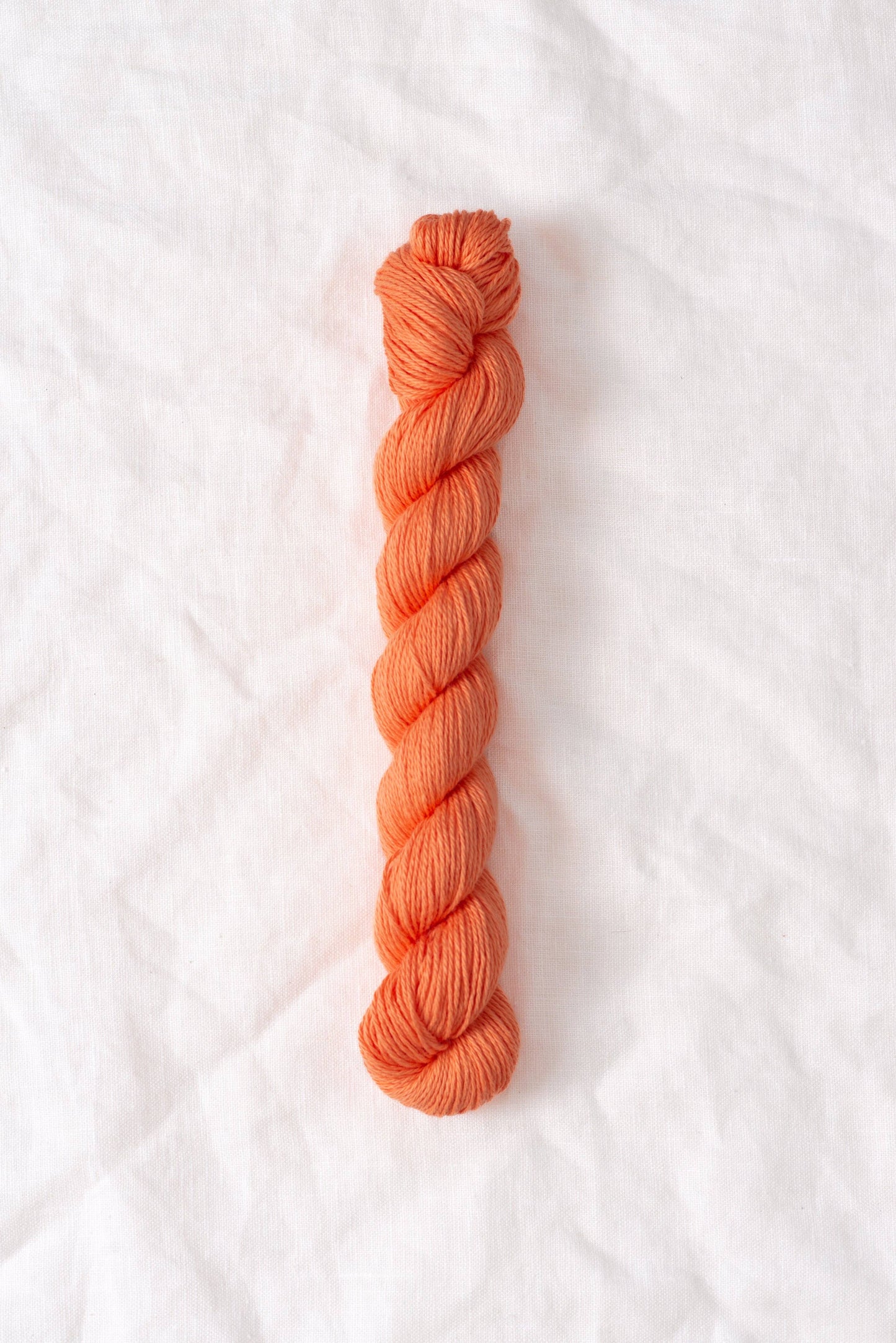 Quince & Co. Willet Yarn