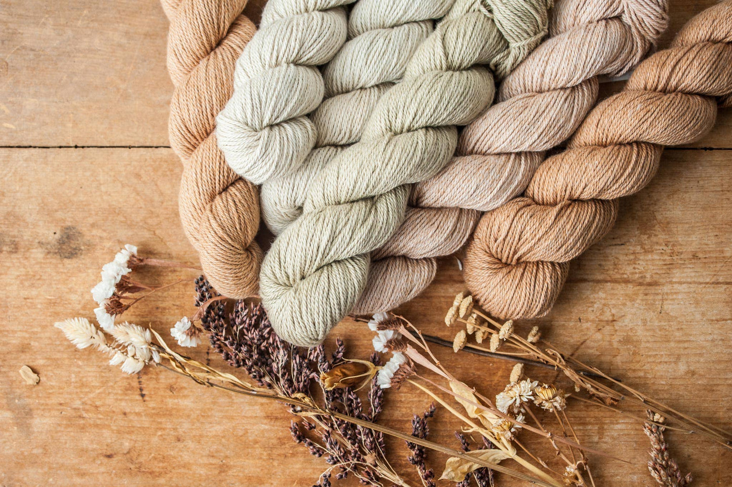 Quince & Co. Willet Yarn