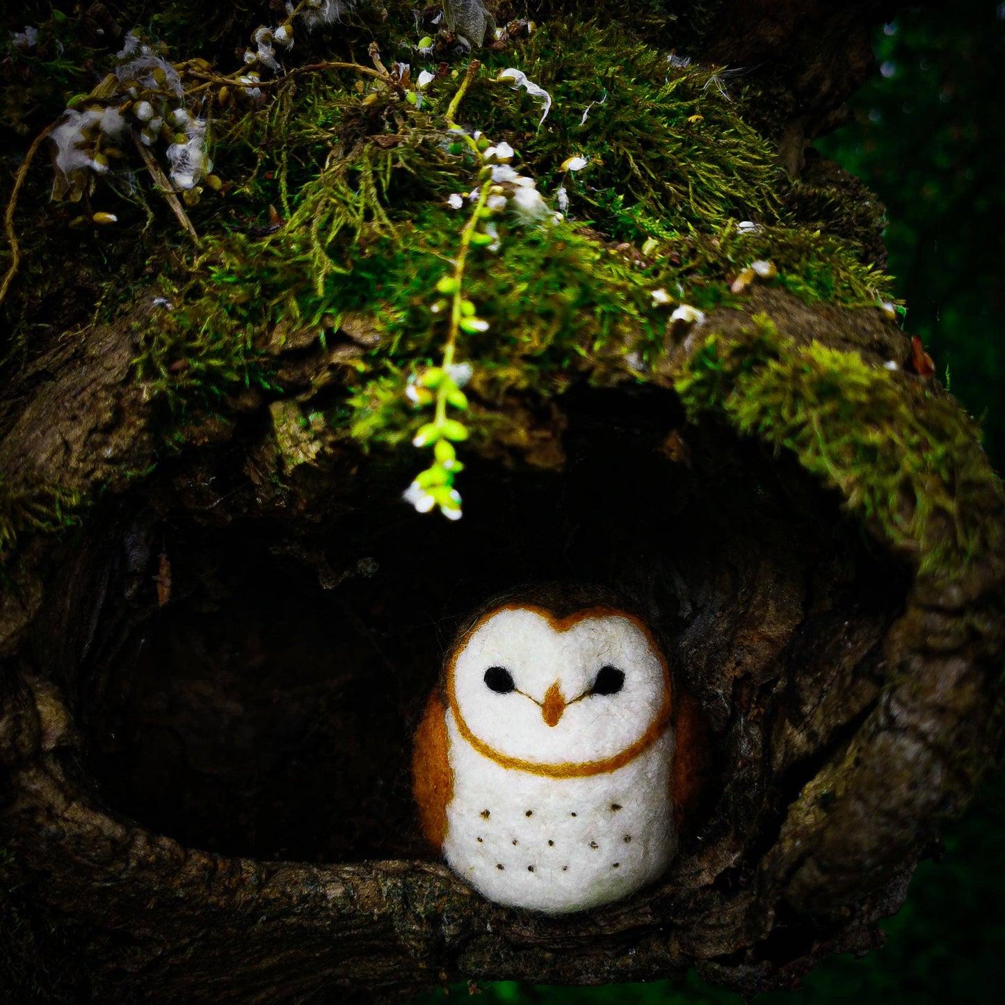 Barn Owl, Needle Felting Kit