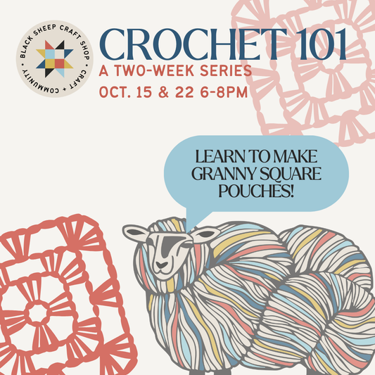 Crochet 101 Class - 2-week series