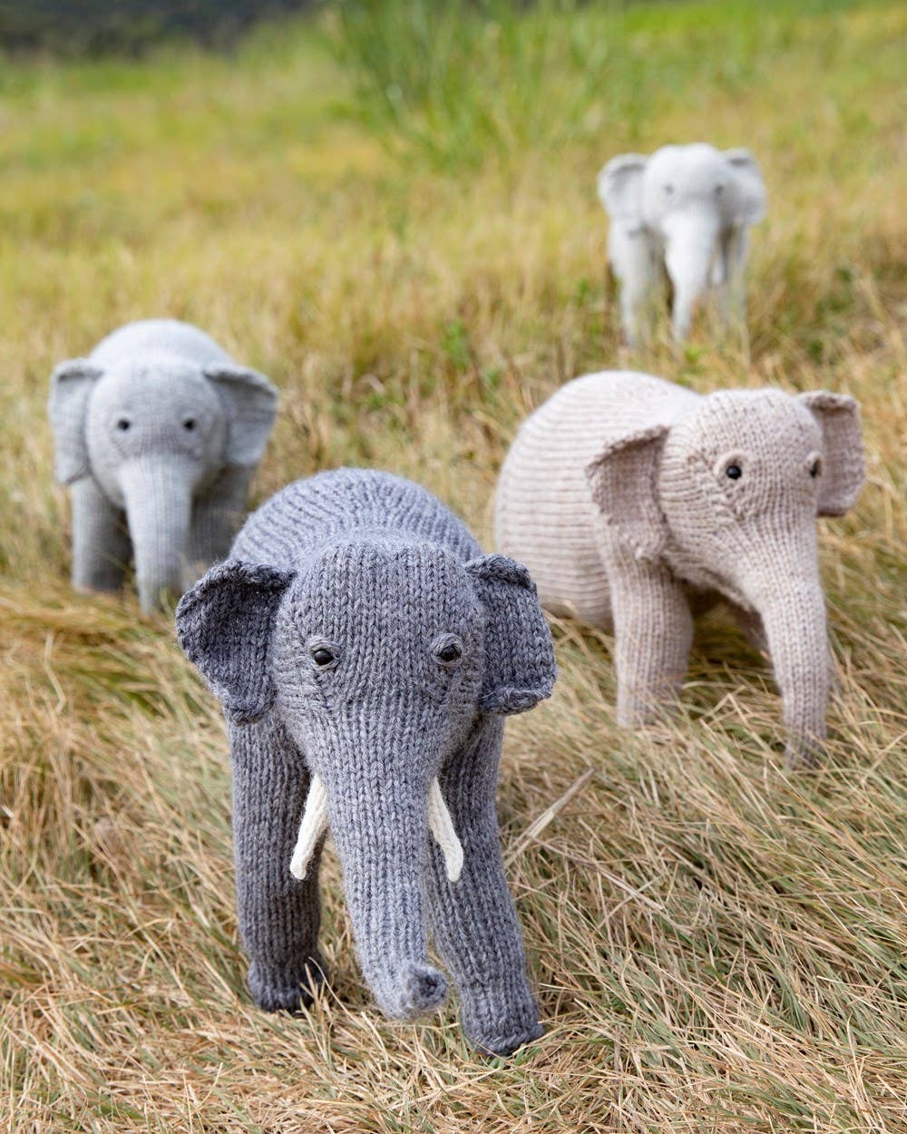 Wild & Woolly Knitted Animals: A Naturalist's Notebook by Sarah Elizabeth Kellner