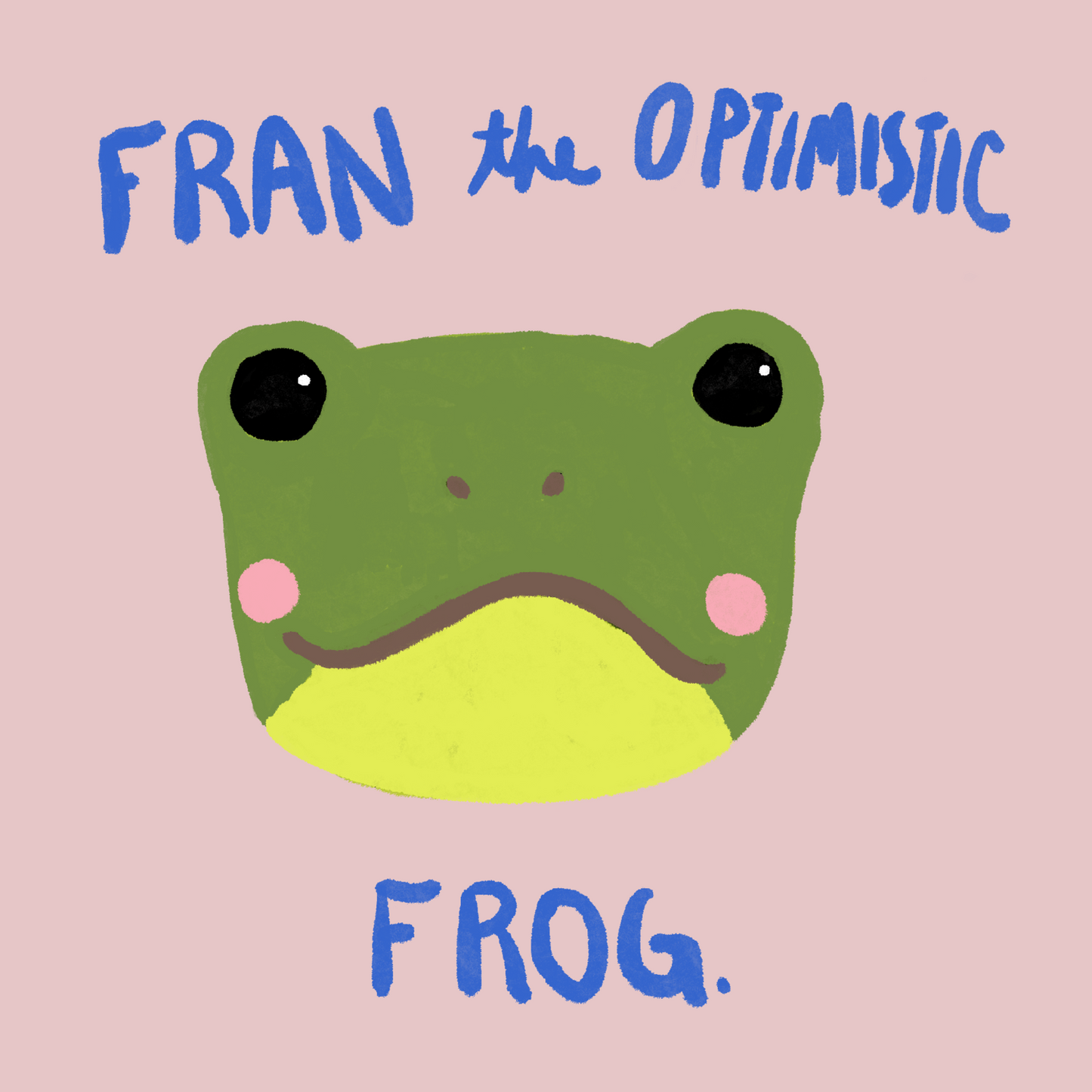 Fran the Optimistic Frog - DIY Craft Kit