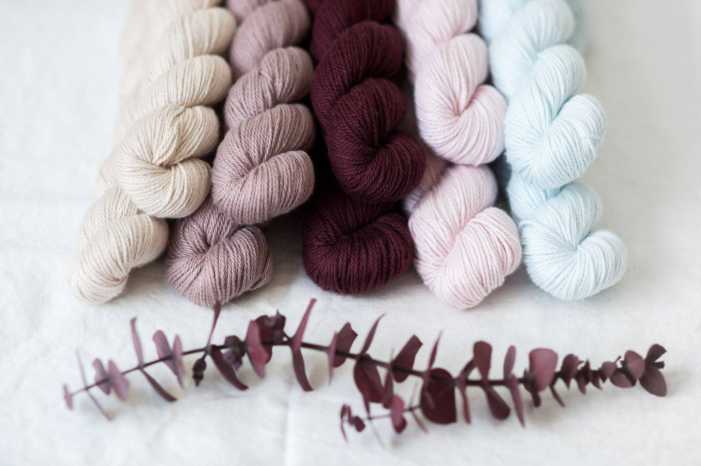 Quince & Co. Willet Yarn